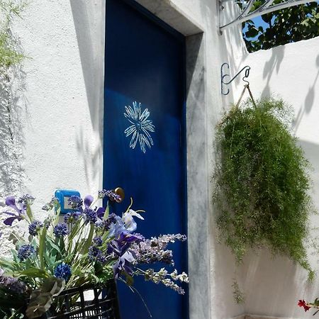 La Casetta Blu Διαμέρισμα Τόρρε ντελ Γκρέκο Εξωτερικό φωτογραφία