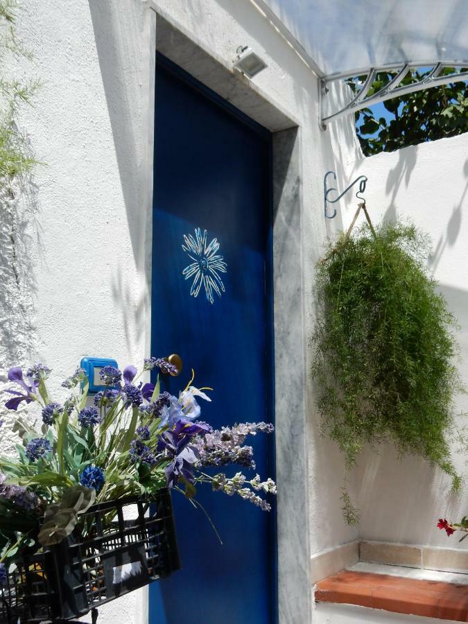 La Casetta Blu Διαμέρισμα Τόρρε ντελ Γκρέκο Εξωτερικό φωτογραφία